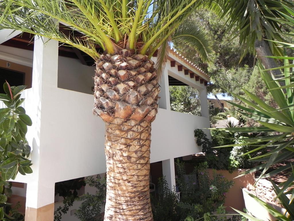 Viviendas Turisticas Vacacionales Allida Playa Migjorn Extérieur photo